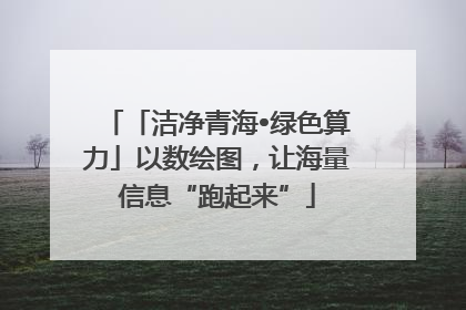 「洁净青海•绿色算力」以数绘图，让海量信息“跑起来”